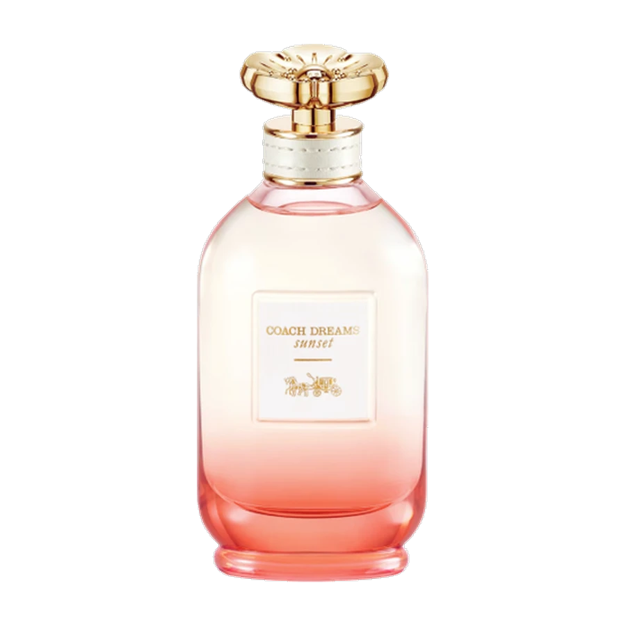 SUEÑO DEL MANAGER inspirado en Dreams Sunset / Coach